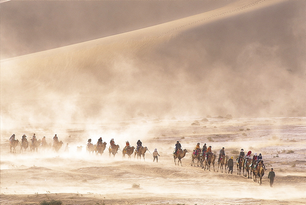 Tourists riding camels at Mount Mingshan, Dunhuang, Gansu Province, China, Asia