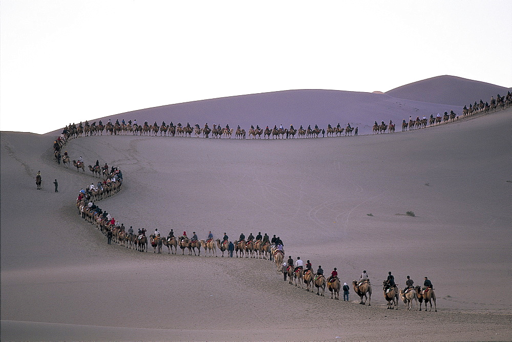 Tourists riding camels at Mount Mingshan, Dunhuang, Gansu Province, China, Asia