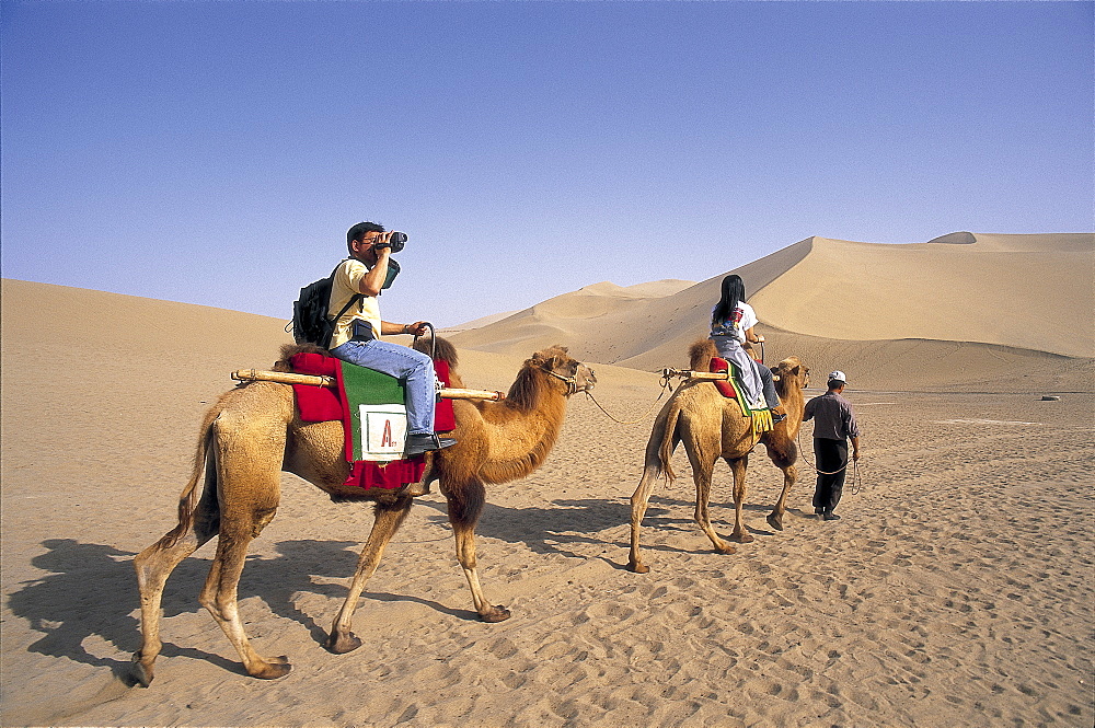 Tourists riding camels at Mount Mingshan, Dunhuang, Gansu Province, China, Asia