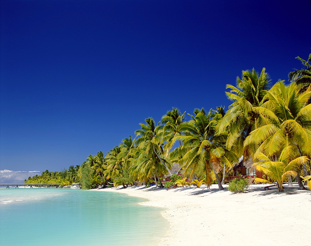 Atoll, palm trees and tropical beach, Aitutaki Island, Cook Islands, Polynesia, South Pacific, Pacific