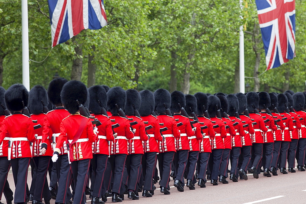 Changing of the Guard, London, England, United Kingdom, Europe