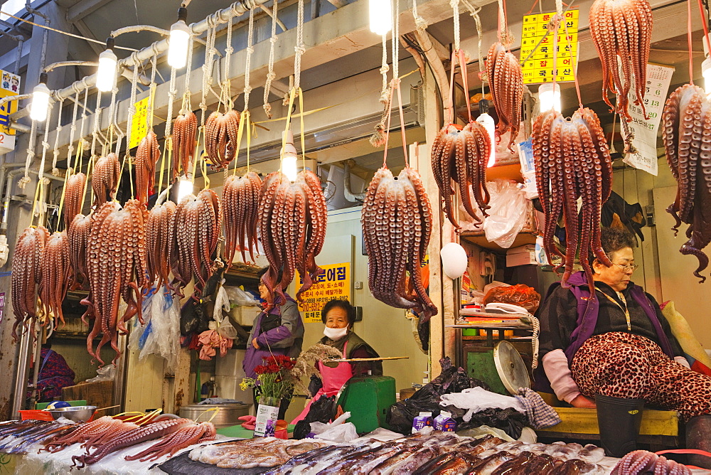 Shop selling octopuses, Gyeongju Market, Gyeongju, South Korea, Asia