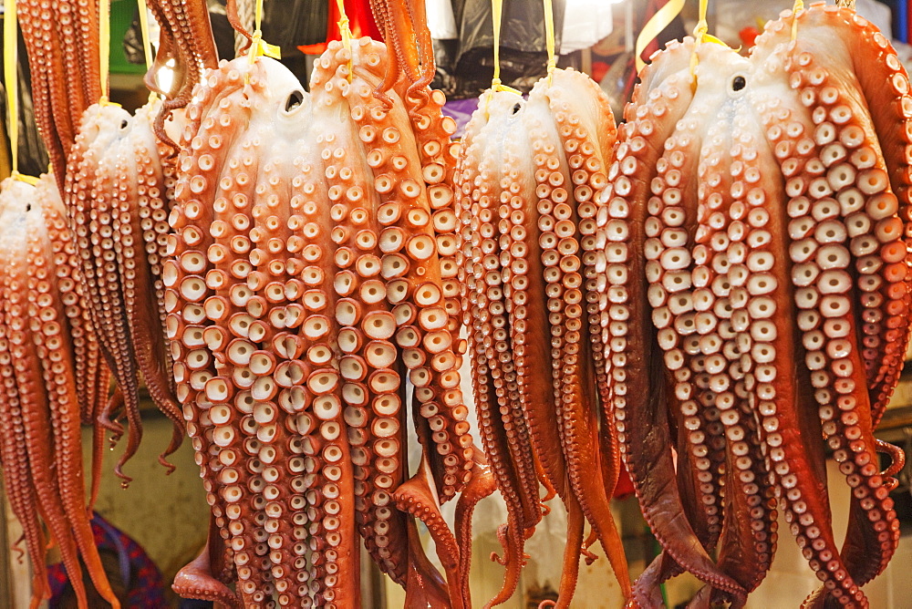 Shop selling octopuses, Gyeongju Market, Gyeongju, South Korea, Asia