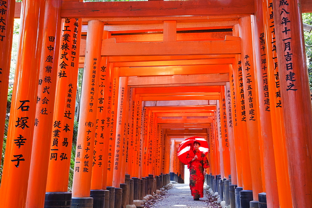 Tunnel of Torii gates, Fushimi Inari Taisha Shrine, Kyoto, Japan, Asia