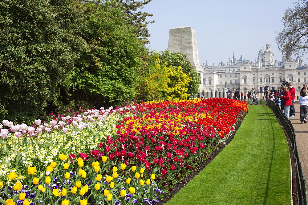 Spring flowers in St. James's Park, London, England, United Kingdom, Europe