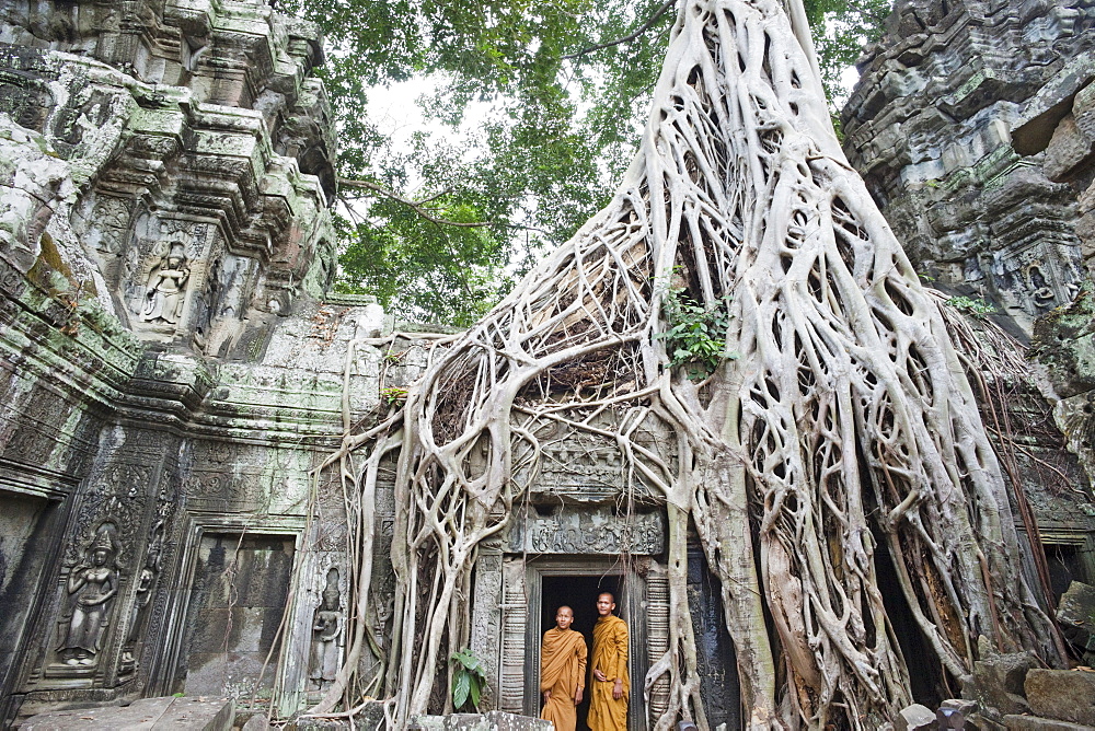 Ta Prohm Temple, Angkor, UNESCO World Heritage Site, Siem Reap, Cambodia, Indochina, Southeast Asia, Asia