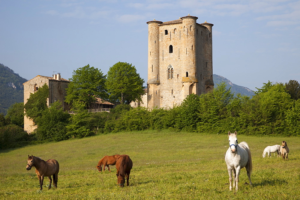 Arques Castle, Arques, Aude, Languedoc-Roussillon, France, Europe