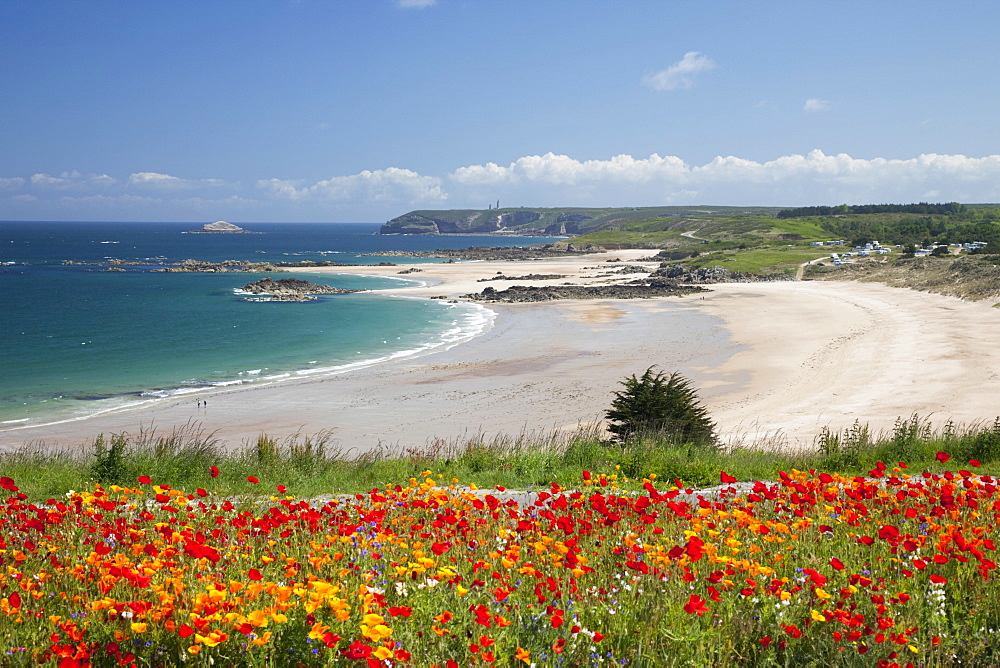 Pleherel Beach, Cap Frehel, Cote d'Emeraude, Cotes d'Armor, Brittany, France, Europe