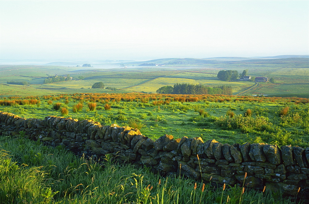 Countryside view, Northumberland, England, United Kingdom, Europe