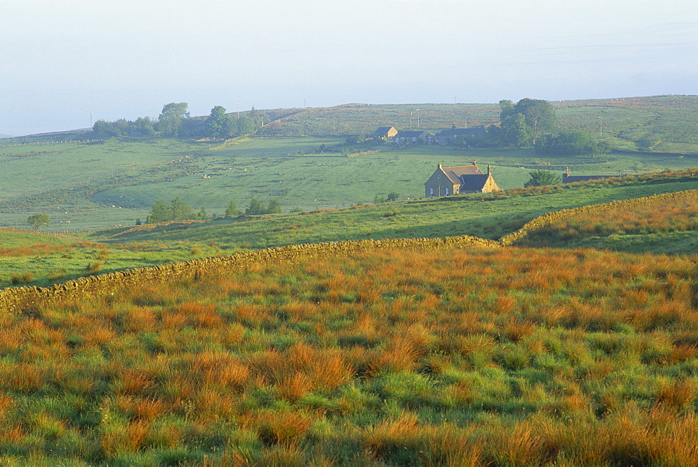 Countryside view, Northumberland, England, United Kingdom, Europe