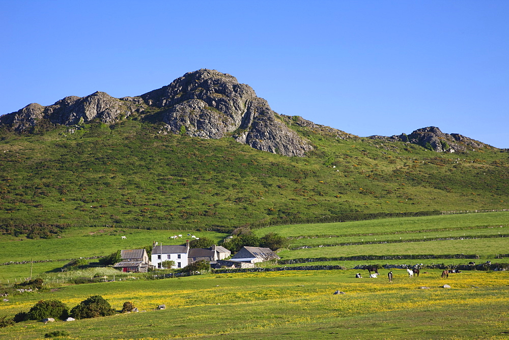 Farmhouse and mountains near St. David's, Pembrokeshire, Wales, United Kingdom, Europe