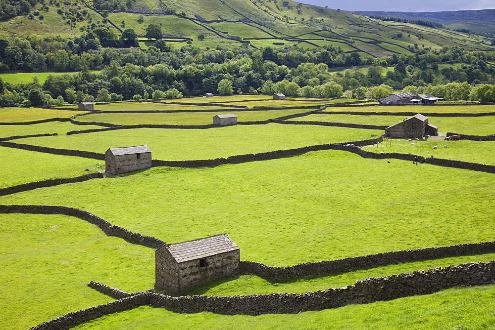 Swaledale, Yorkshire Dales National Park, Yorkshire, England, United Kingdom, Europe