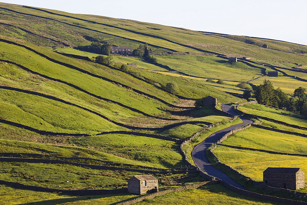 Swaledale, Yorkshire Dales National Park, Yorkshire, England, United Kingdom, Europe