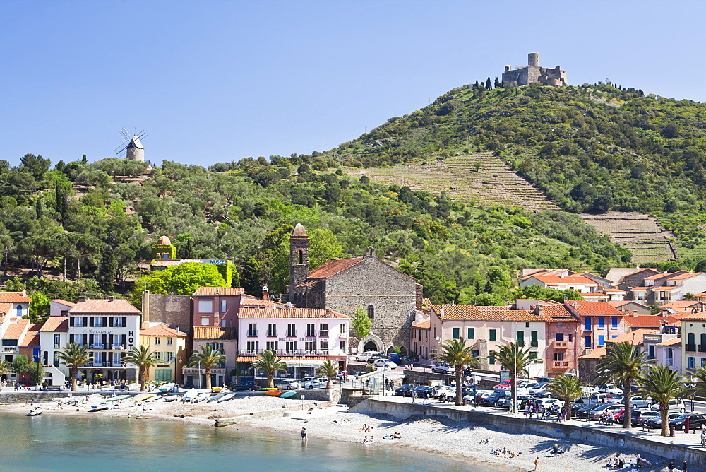 A view of the beach at Collioure, Cote Vermeille, Languedoc-Roussillon, France, Europe