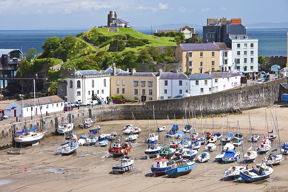 Tenby Harbour, Tenby, Pembrokeshire, Wales, United Kingdom, Europe