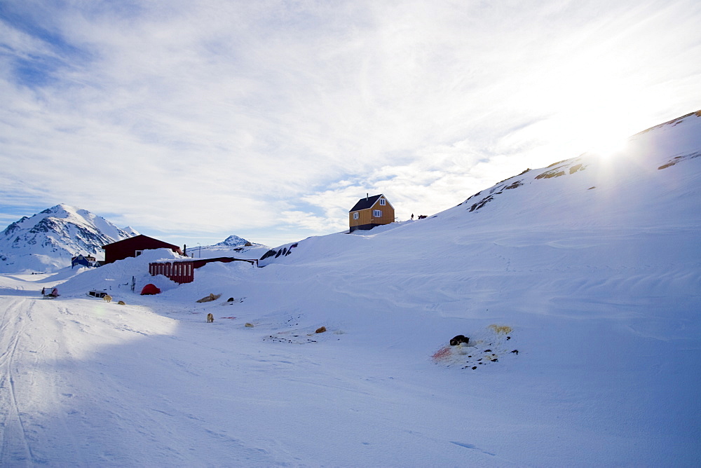 Village scene with dogs, Kulusuk, East Coast, Greenland, Polar Regions