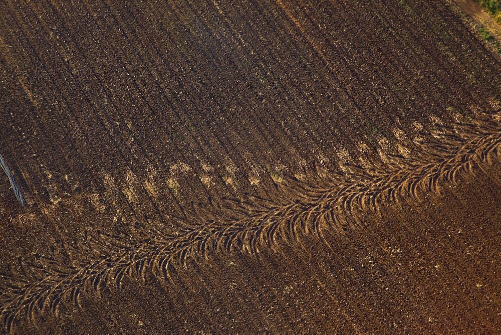 Aerial abstractive view of a ploughed field in the northern Negev desert