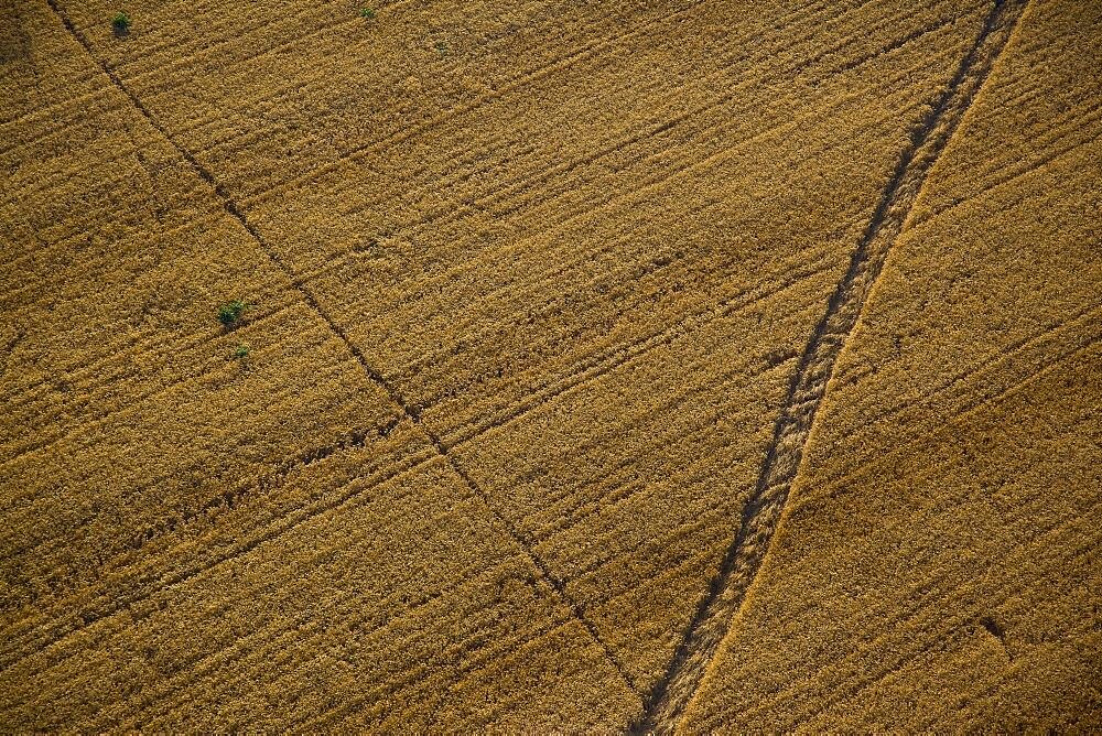 Aerial abstractive view of the agriculture fields of the northern Negev desert