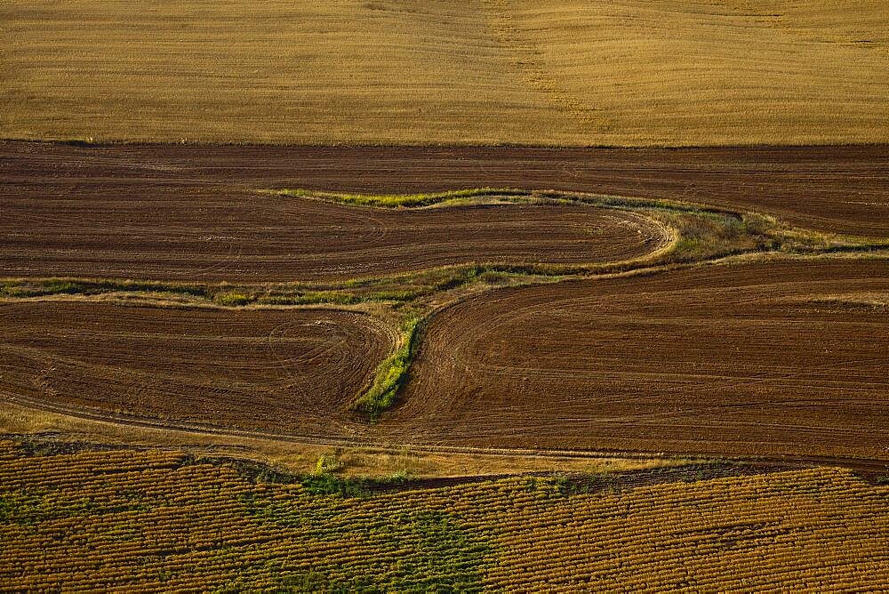 The agriculture fields of the Negev desert