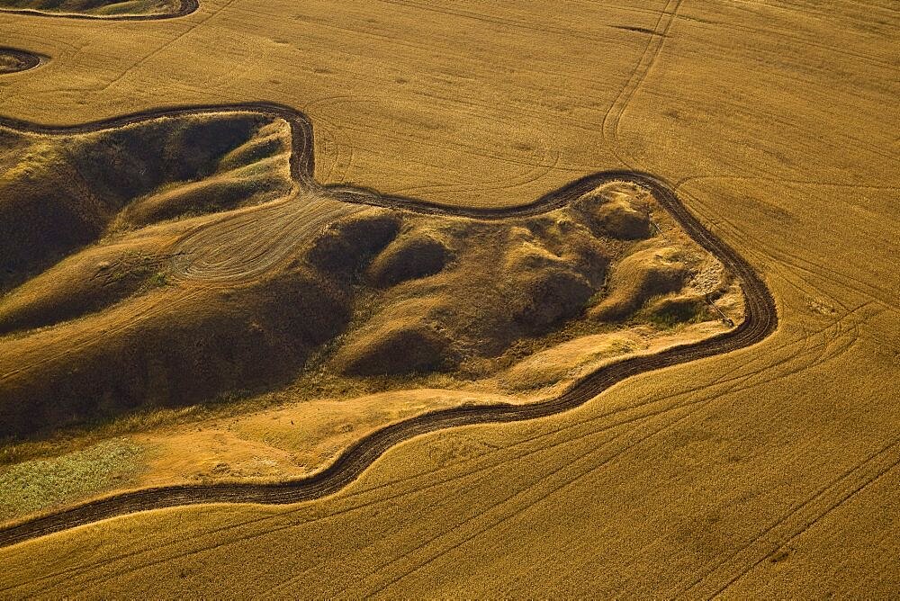 The agriculture fields of the Negev desert