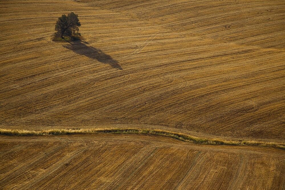 The agriculture fields of the Negev desert