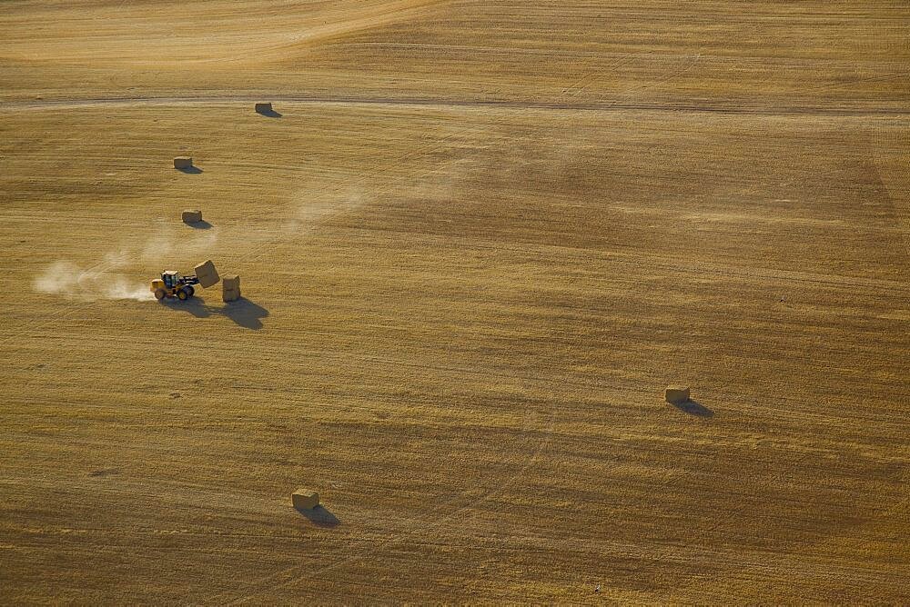 A tractor stacking hey in a field in the northern Negev desert