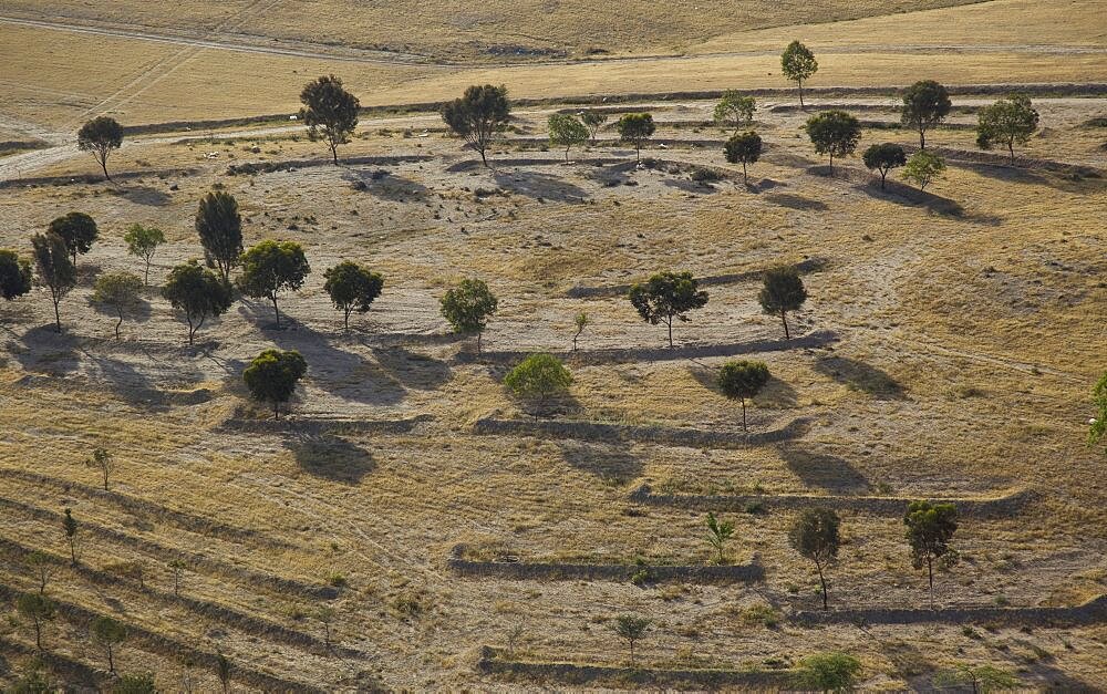 The landscape of the Negev desert