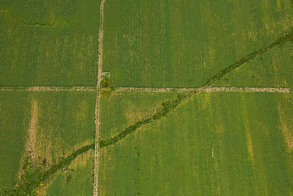 Abstract photograph of a green field in the Plain