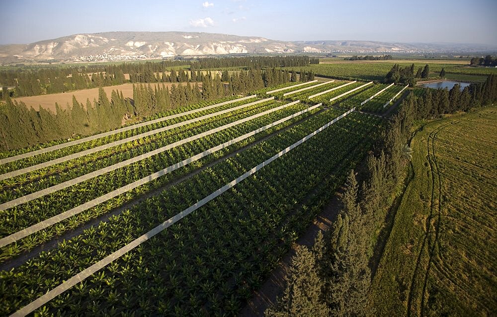 Aerial agriculture fields of the Jordan valley, Israel