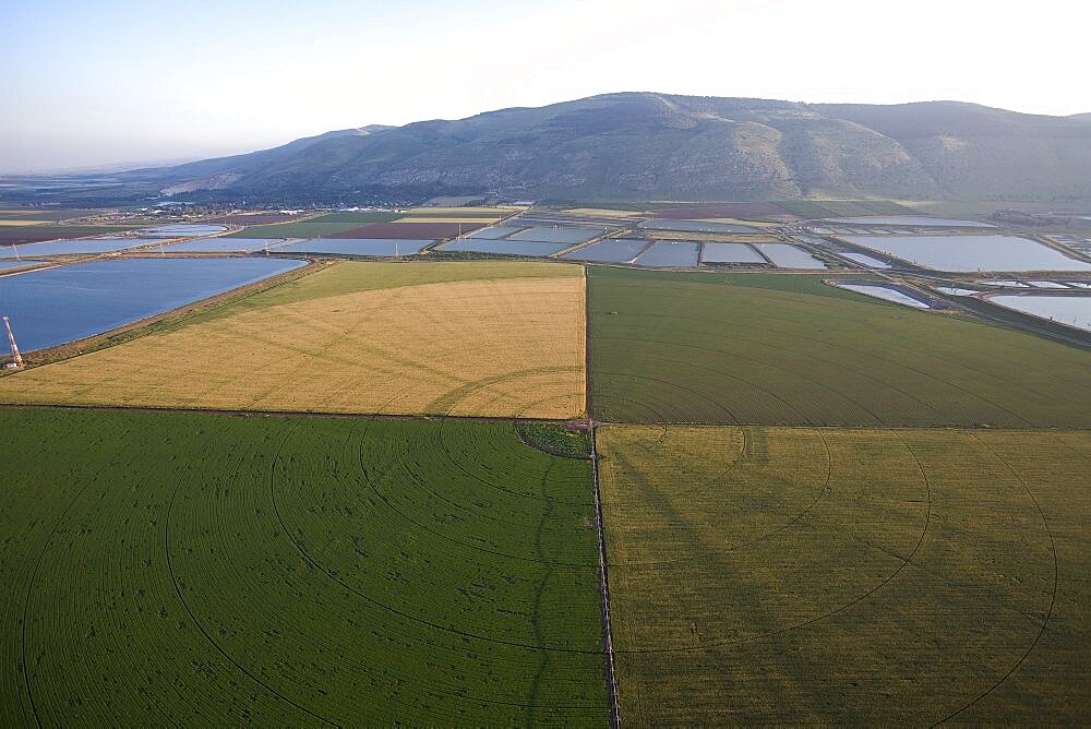 Aerial agriculture fields of Kibutz Beit Alfa in the Jezreel valley, Israel