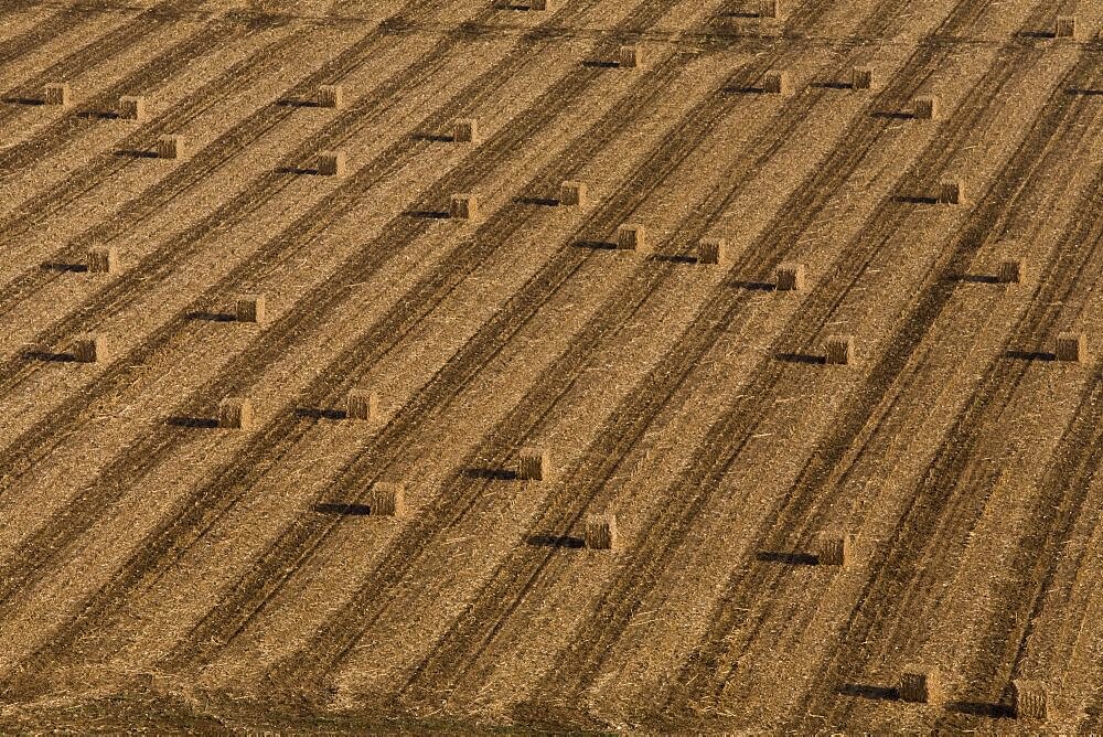 Aerial photograph of Hay stacks in a field in the costal plain, Israel