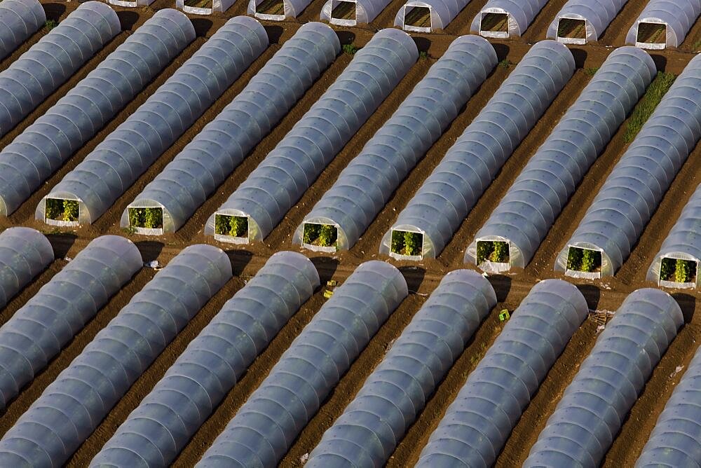 Aerial photograph of greenhouses in the Sharon, Israel