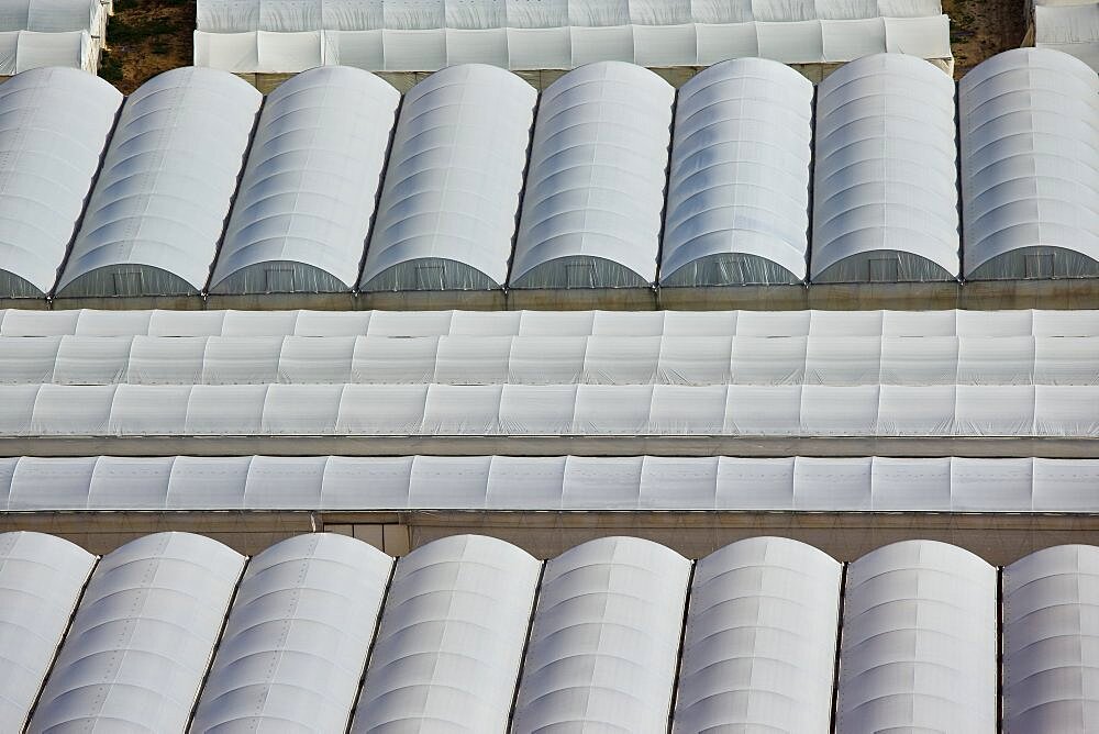 Abstract view of greenhouses in the Sharon, Israel