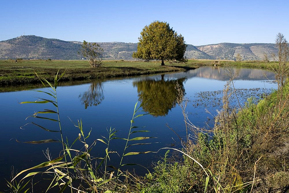 Chula pond in the Upper Galilee, Israel