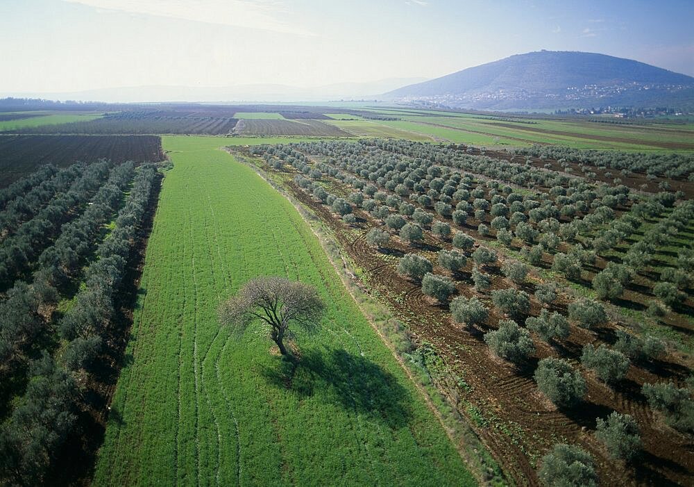 Aerial agriculture fields of the Jezreel valley, Israel