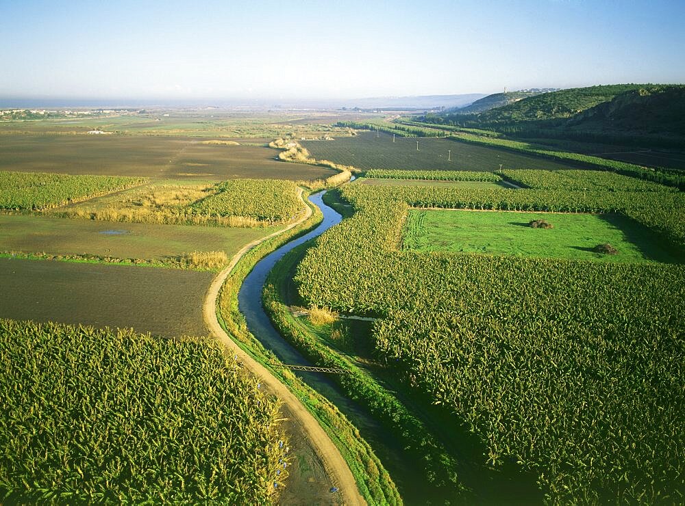 Aerial Agriculture fields of the northern Coastal plain, Israel