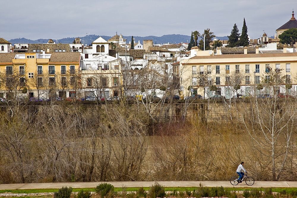 City of cordova from a distance, Spain