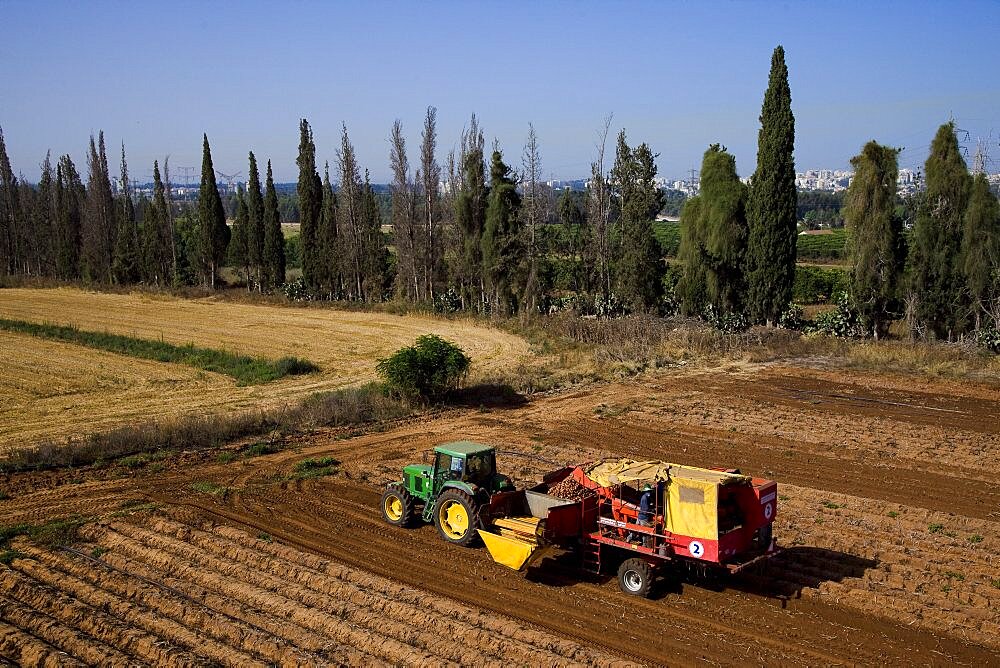 Aerial photograph of the agriculture fields of the sharon, Israel