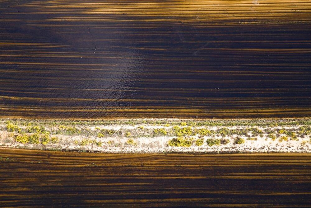 Abstract view of an agriculture field in the Plain, Israel