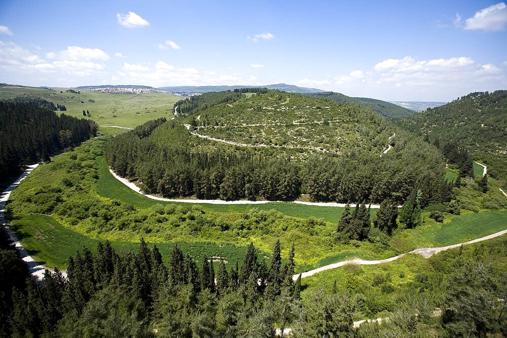 Aerial Hazorea forest in the Menashe plains, Israel