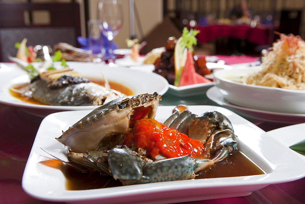 Shanghai style dishes served elegantly at a Chinese restaurant, Shanghai, China, Asia