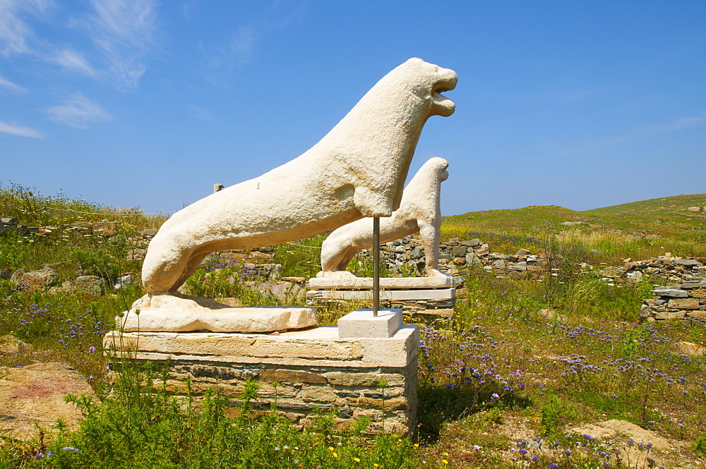 Apollo sanctuary, terrace of the lions, Delos, the most ancient archaeological site of the Aegean, UNESCO World Heritage Site, Cyclades, Greek Islands, Greece, Europe