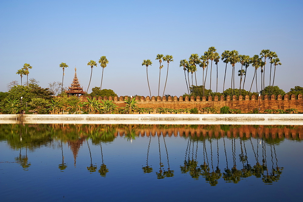 Palm trees reflected in the moat of the fortified palace, Mandalay Palace, Mandalay, Myanmar (Burma), Asia