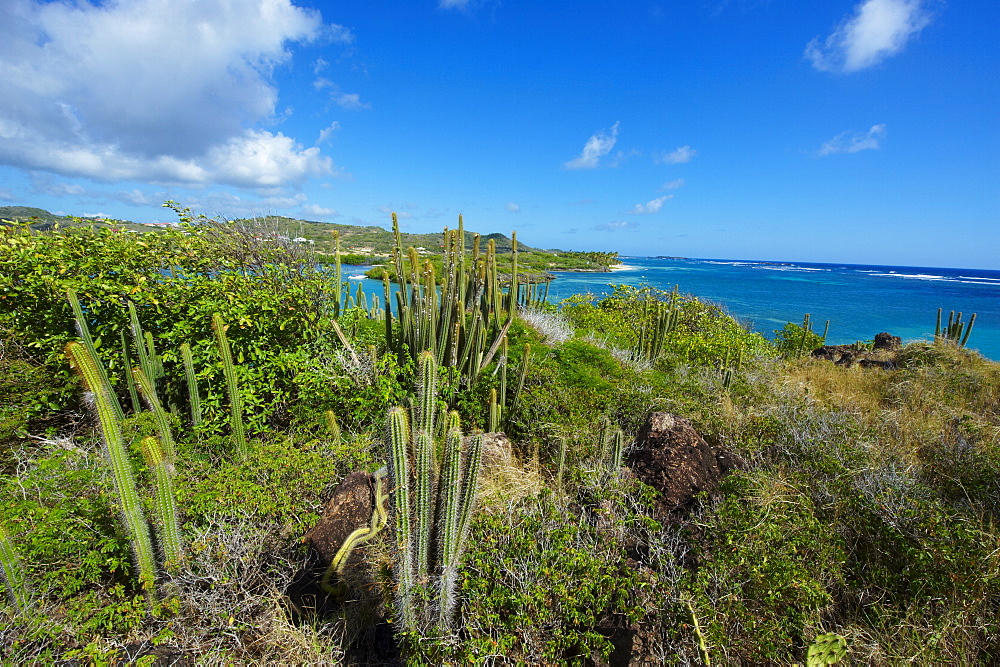 Cap Chevalier, Martinique, French Overseas Department, Windward Islands, West Indies, Caribbean, Central America