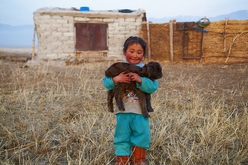 Young Mongolian nomad boy with his goat, Province of Khovd, Mongolia, Central Asia, Asia