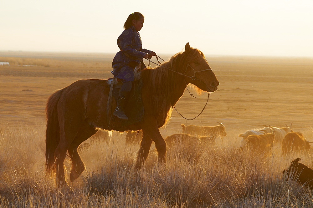 Young Mongolian girl riding a horse, Province of Khovd, Mongolia, Central Asia, Asia