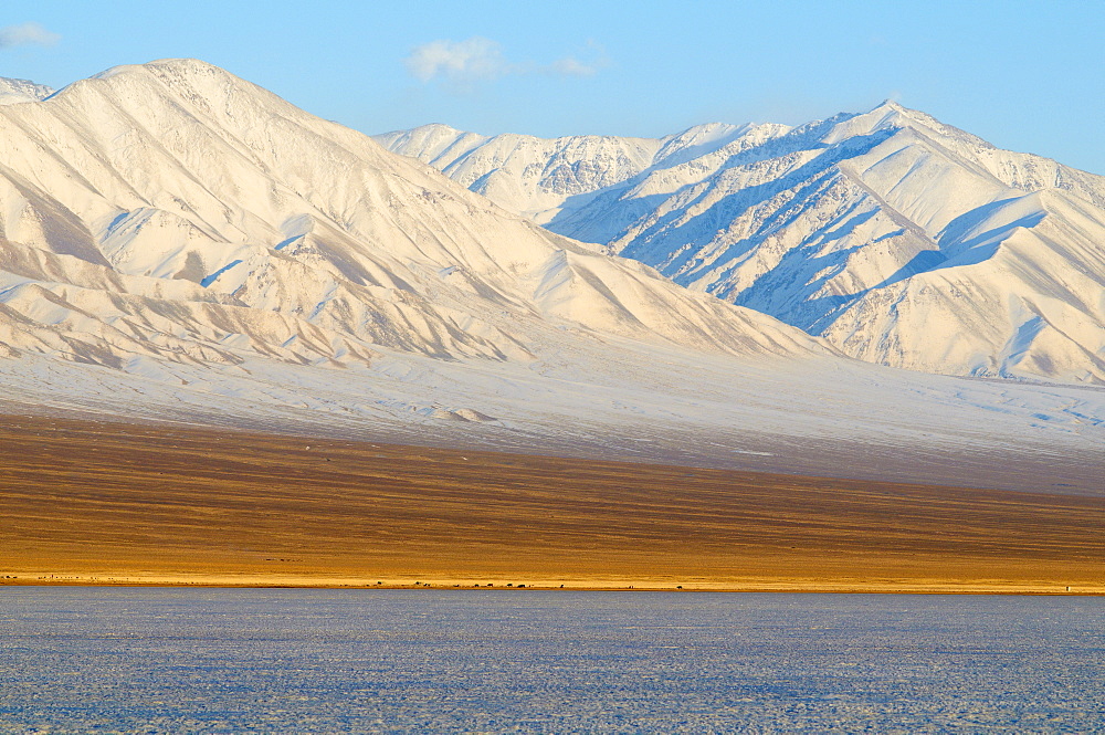 Winter landscape in Biosphere reserve with snow covered mountains, Lake Khar Us Nuur, Province of Khovd, Mongolia, Central Asia, Asia