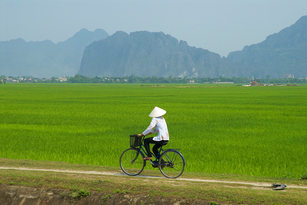 Vietnamese woman on bicycle, Tam Coc, Kenh Ga, Ninh Binh area, Vietnam, Indochina, Southeast Asia, Asia