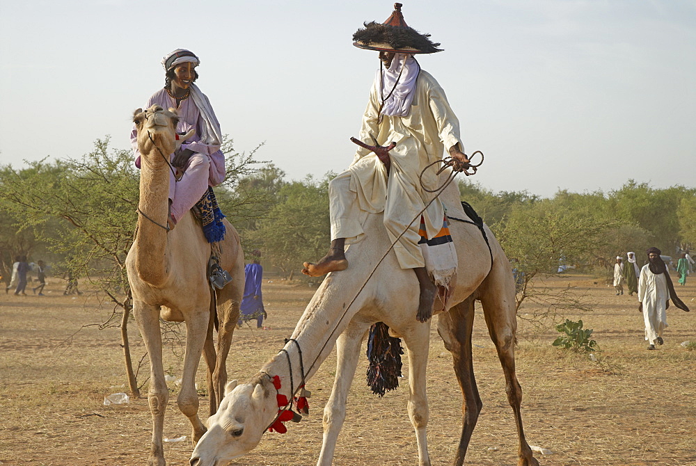 Wodaabe (Bororo men), Gerewol, general reunion of West Africa for the Wodaabe Peuls (Bororo Peul), Niger, West Africa, Africa