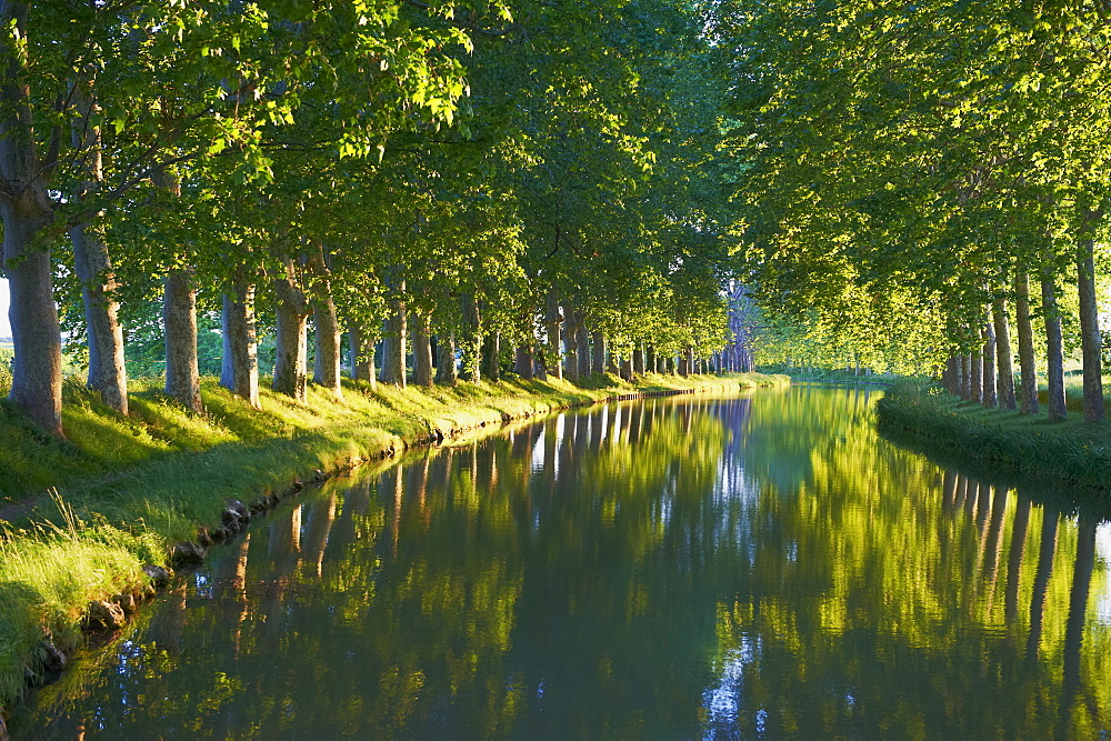 Navigation on the Canal du Midi, between Carcassone and Beziers, UNESCO World Heritage Site, Aude, Languedoc Roussillon, France, Europe